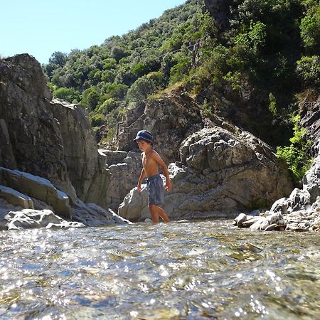 La Frigoule, Un Gite Au Coeur Du Parc Des Cevennes Generargues Exteriér fotografie