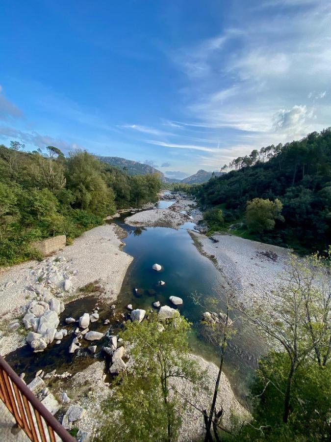 La Frigoule, Un Gite Au Coeur Du Parc Des Cevennes Generargues Exteriér fotografie