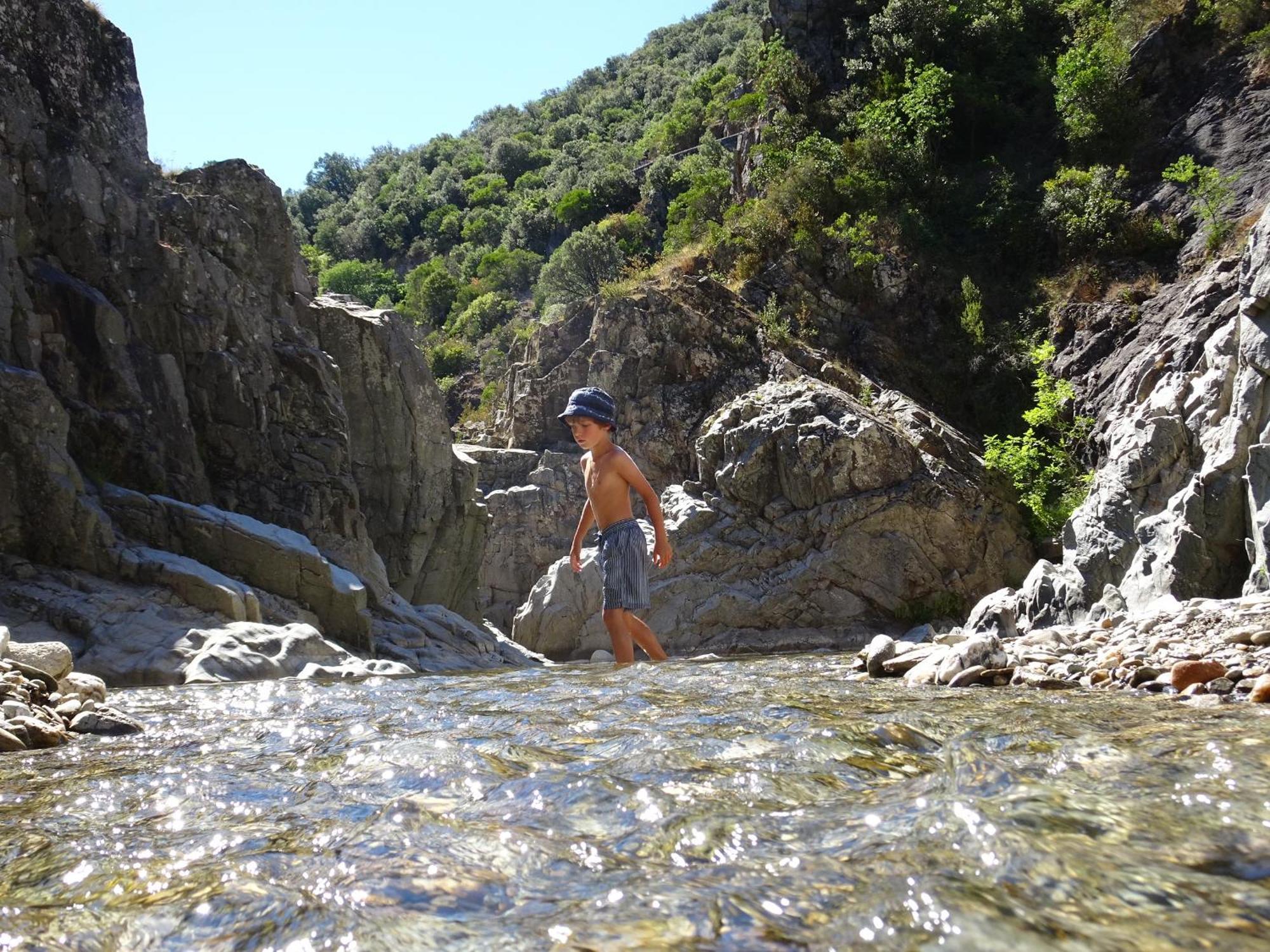 La Frigoule, Un Gite Au Coeur Du Parc Des Cevennes Generargues Exteriér fotografie